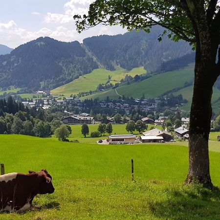 Haus Sonnleiten Maria Alm Extérieur photo