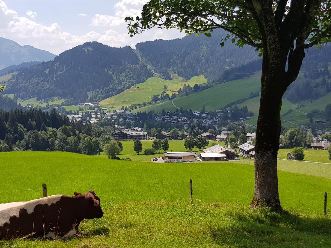 Haus Sonnleiten Maria Alm Extérieur photo